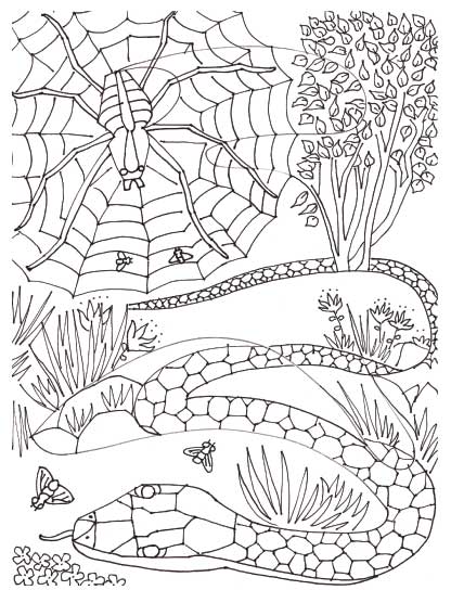 Why I Love Frogs So Much Page 13