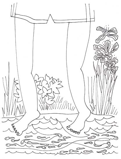 Why I lOve Frogs Page 7