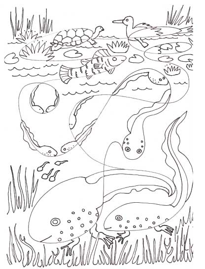 Why I love Frogs So Much Page 8