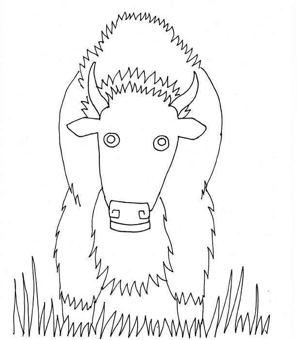 Drawing of the Little Tiny Buffalo